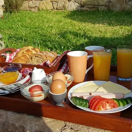Hotel apartamentowy Apollon Sarti